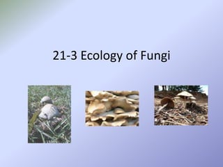 21-3 Ecology of Fungi 