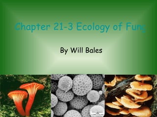 Chapter 21-3 Ecology of Fungi By Will Bales 