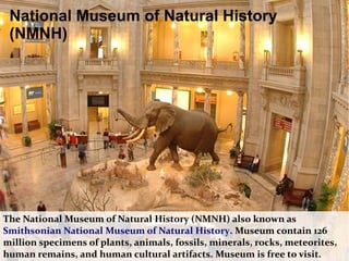 The National Museum of Natural History (NMNH) also known as
Smithsonian National Museum of Natural History. Museum contain 126
million specimens of plants, animals, fossils, minerals, rocks, meteorites,
human remains, and human cultural artifacts. Museum is free to visit.
National Museum of Natural History
(NMNH)
 