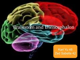 Brainstem and Diencephalon



                   Karl Yu 48
                 Zed Sabella 42
 