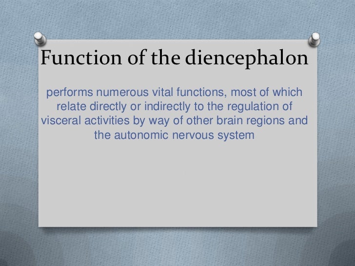 of parts diencephalon and 21. stem brain diencephalon