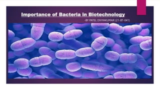 Importance of Bacteria in Biotechnology
-BY PATEL DIVYAKUMAR (21-BT-041)
 