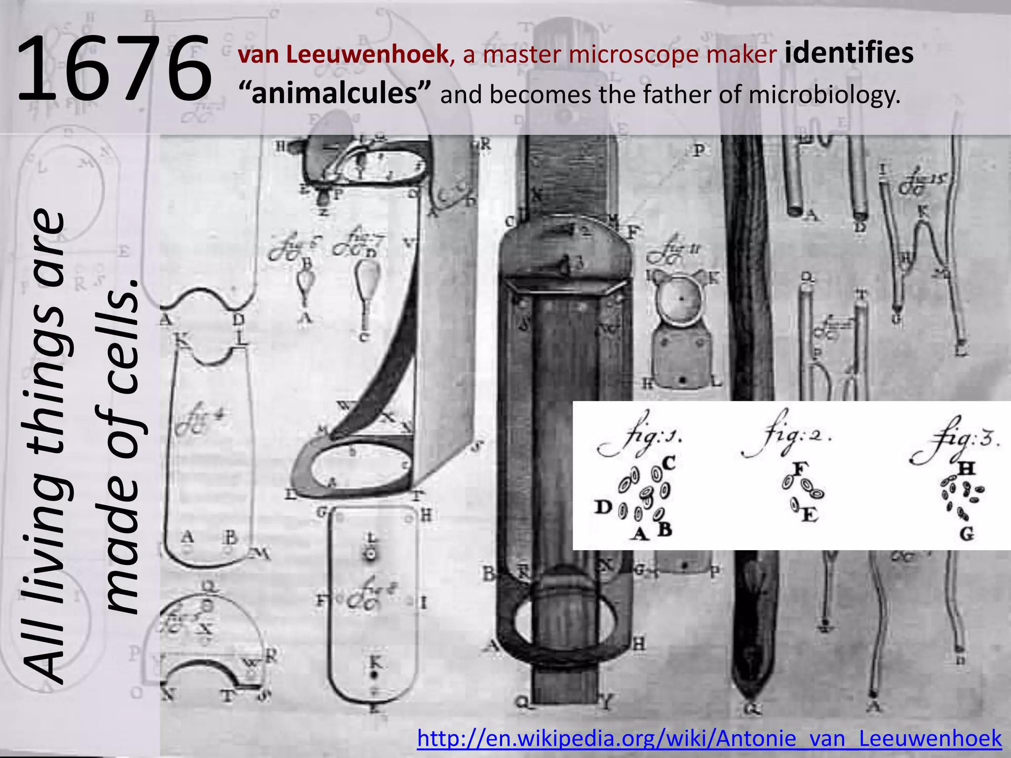 All living things are
made of cells.

1676

van Leeuwenhoek, a master microscope maker identifies
“animalcules” and becomes the father of microbiology.

http://en.wikipedia.org/wiki/Antonie_van_Leeuwenhoek

 