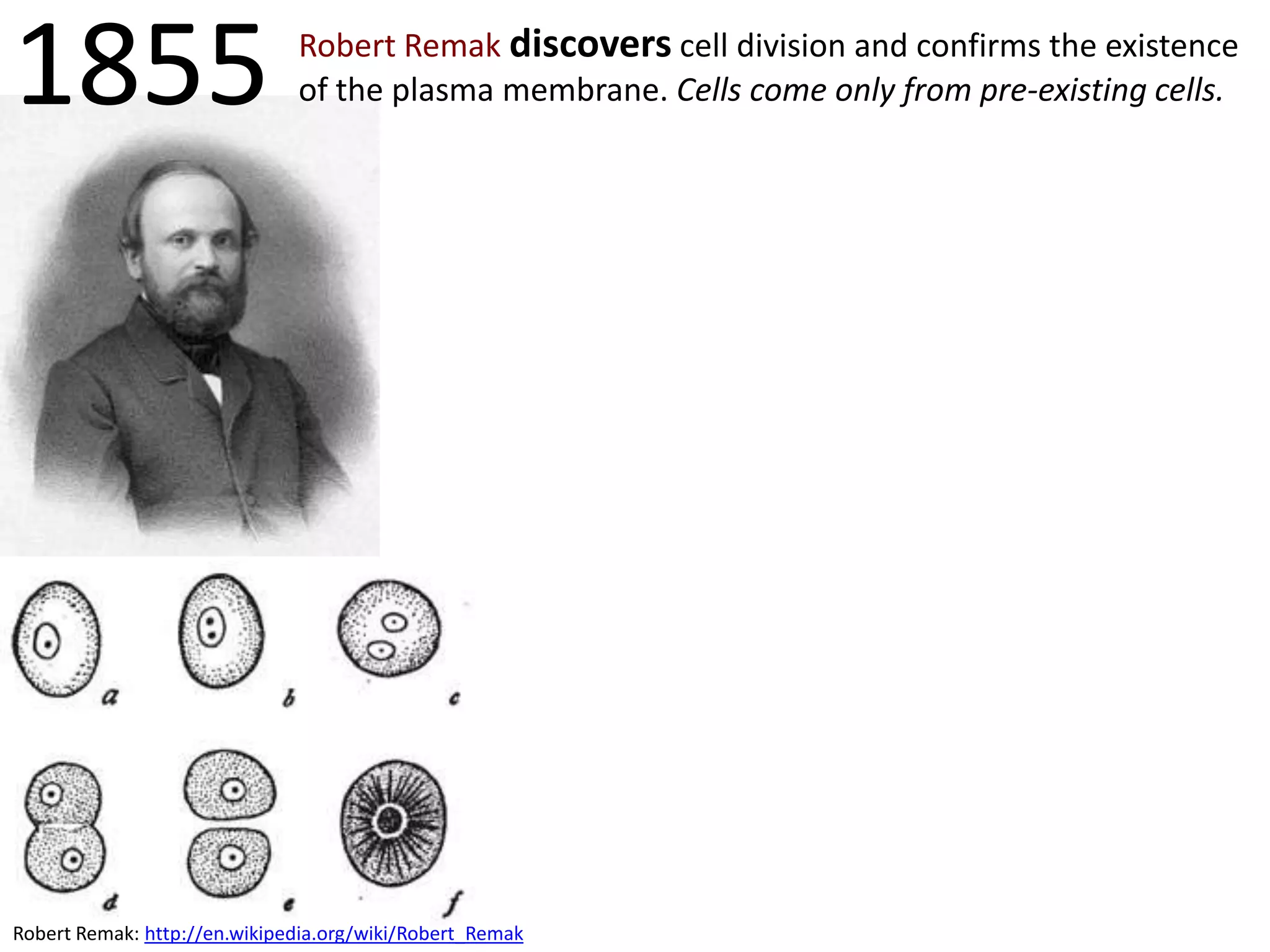 1855

Robert Remak discovers cell division and confirms the existence
of the plasma membrane. Cells come only from pre-existing cells.

Robert Remak: http://en.wikipedia.org/wiki/Robert_Remak

 