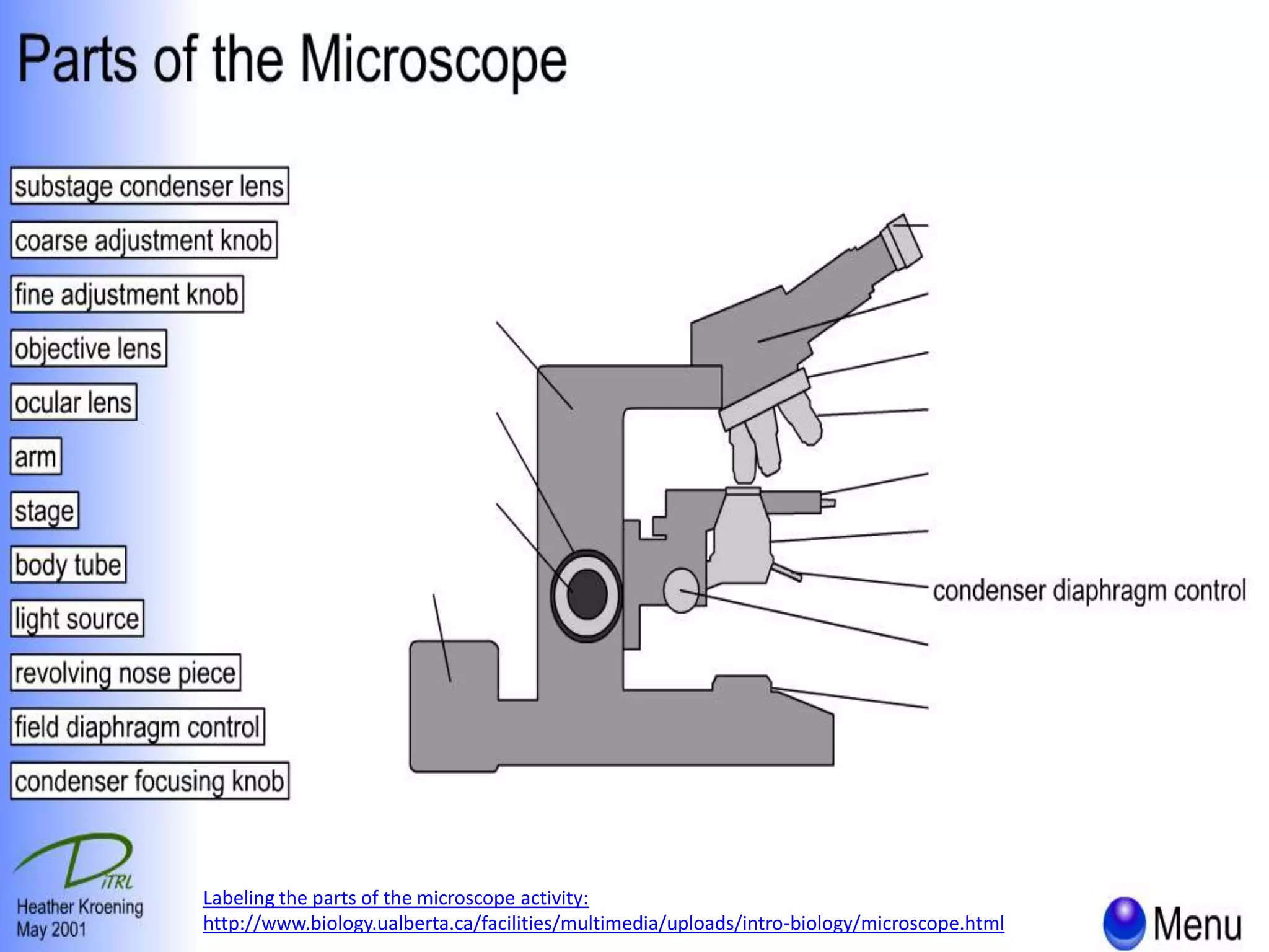 Labeling the parts of the microscope activity:
http://www.biology.ualberta.ca/facilities/multimedia/uploads/intro-biology/microscope.html

 