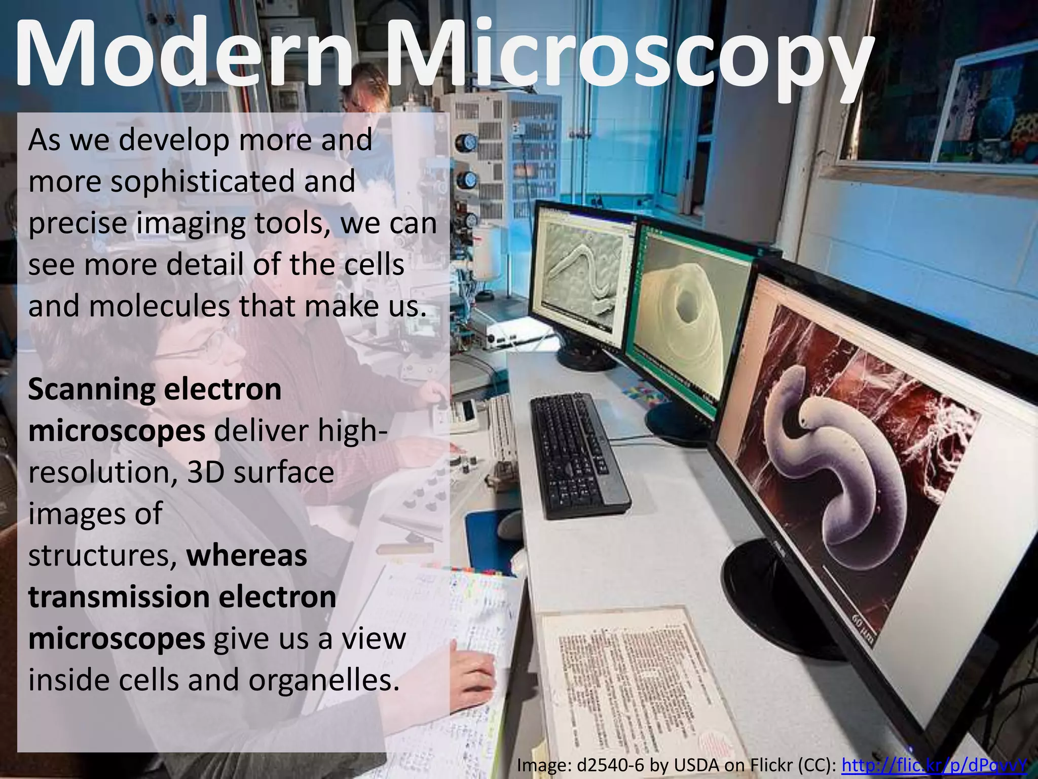 Modern Microscopy
As we develop more and
more sophisticated and
precise imaging tools, we can
see more detail of the cells
and molecules that make us.
Scanning electron
microscopes deliver highresolution, 3D surface
images of structures,
whereas transmission
electron microscopes give us
a view inside cells and
organelles.
Image: d2540-6 by USDA on Flickr (CC): http://flic.kr/p/dPqvvY

 