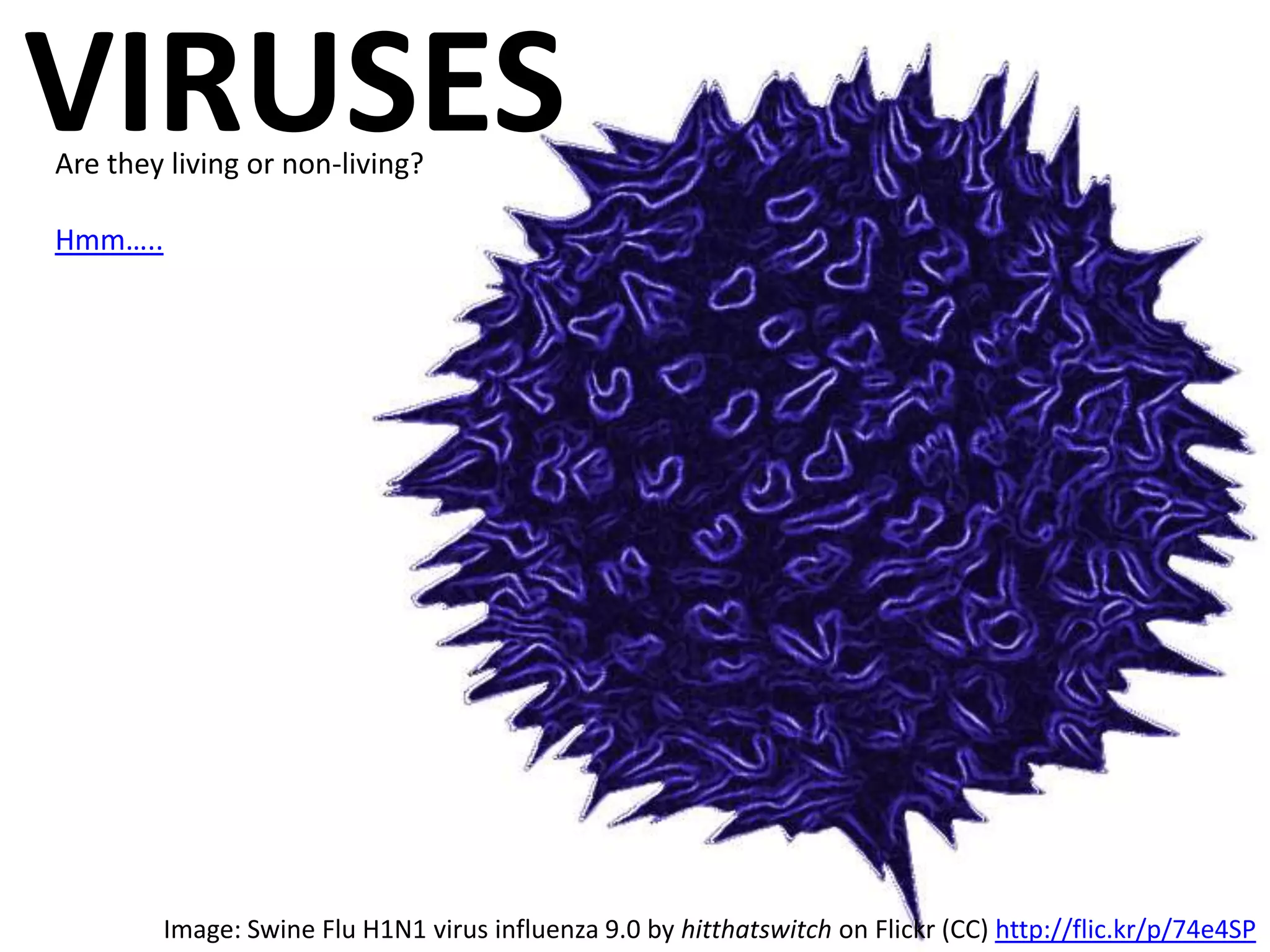 VIRUSES
Are they living or non-living?
Hmm…..

Image: Swine Flu H1N1 virus influenza 9.0 by hitthatswitch on Flickr (CC) http://flic.kr/p/74e4SP

 