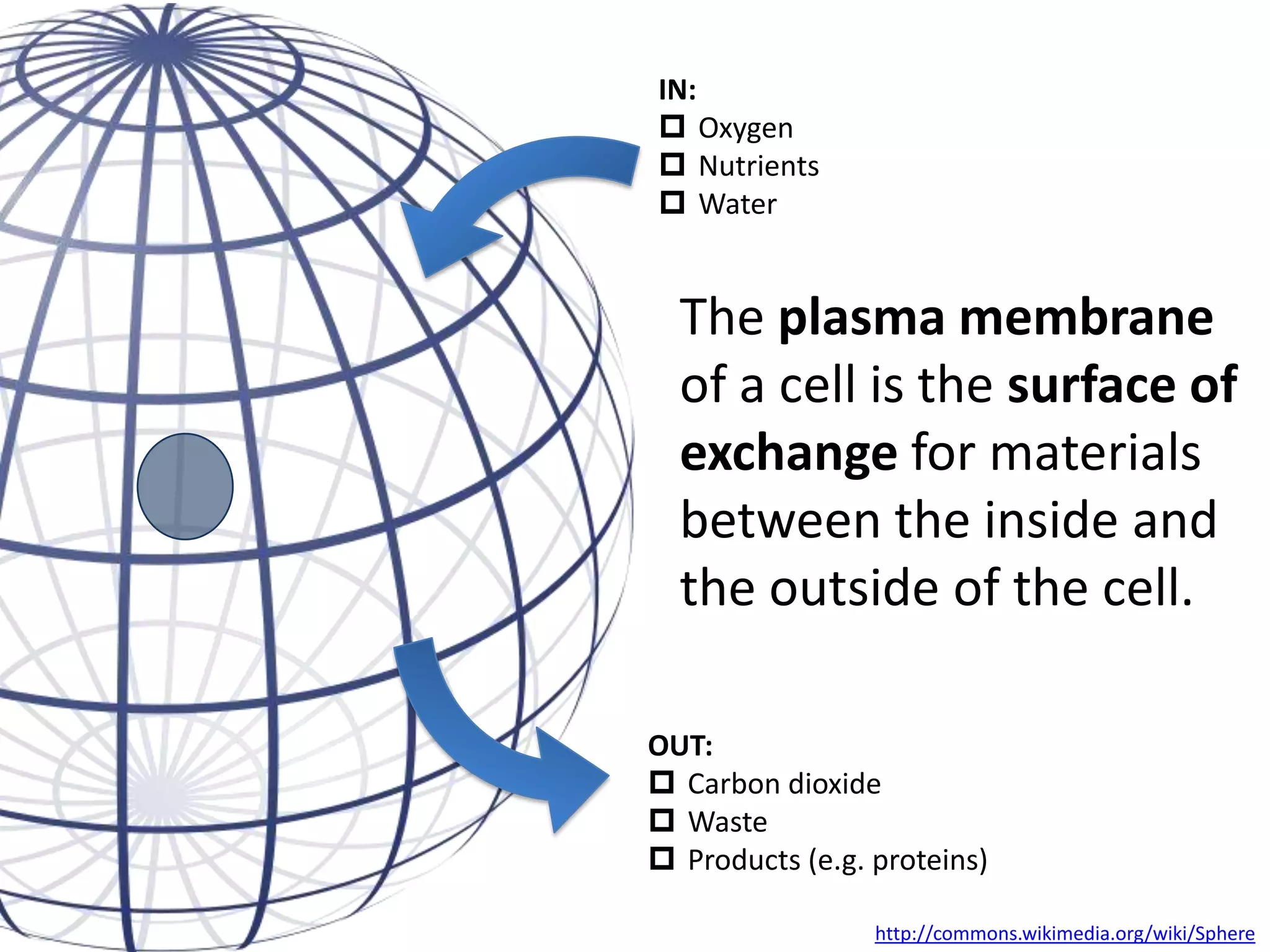 What will go cold faster: French
fries or a baked potato? Why?

French Fries by Ian Britton on Flickr (CC) http://flic.kr/p/6RLQ8j

 