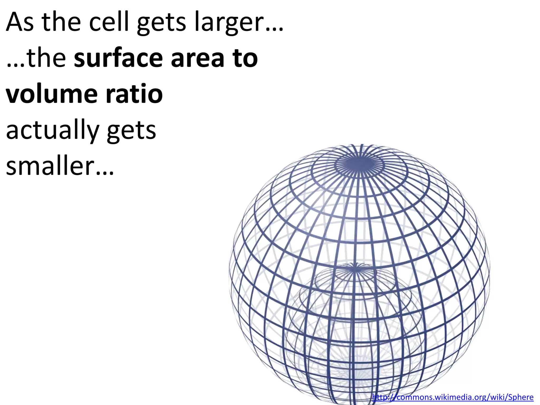 IN:
 Oxygen
 Nutrients
 Water

The plasma membrane
of a cell is the surface of
exchange for materials
between the inside and
the outside of the cell.
OUT:
 Carbon dioxide
 Waste
 Products (e.g. proteins)
http://commons.wikimedia.org/wiki/Sphere

 