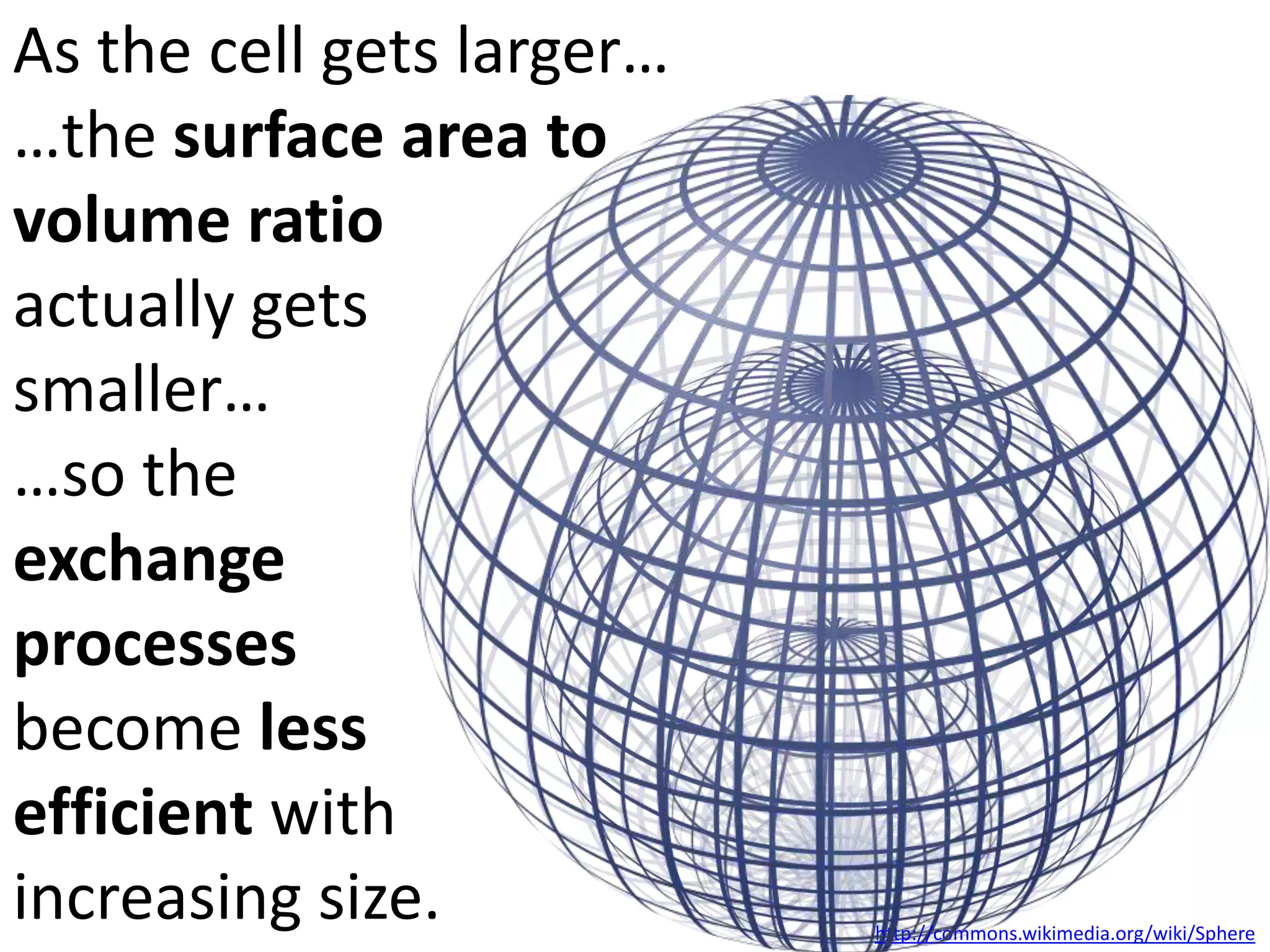 As the cell gets larger, it requires
more resources to be imported and
produces more products (and waste)
to be exported.
Therefore, a larger volume requires
more exchange across the membrane.

http://commons.wikimedia.org/wiki/Sphere

 
