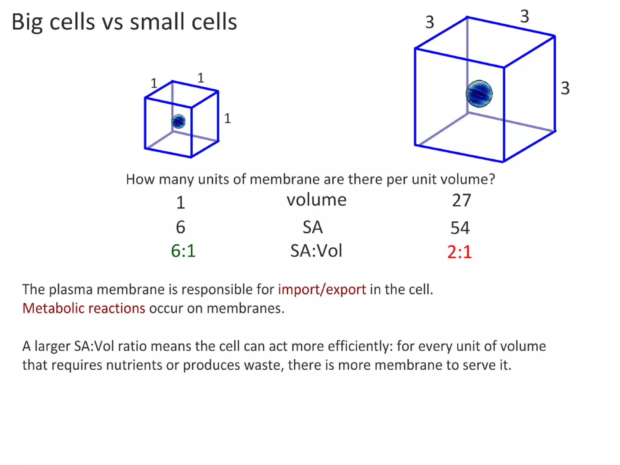 As the cell gets larger…
…the surface area to
volume ratio
actually gets
smaller…

http://commons.wikimedia.org/wiki/Sphere

 