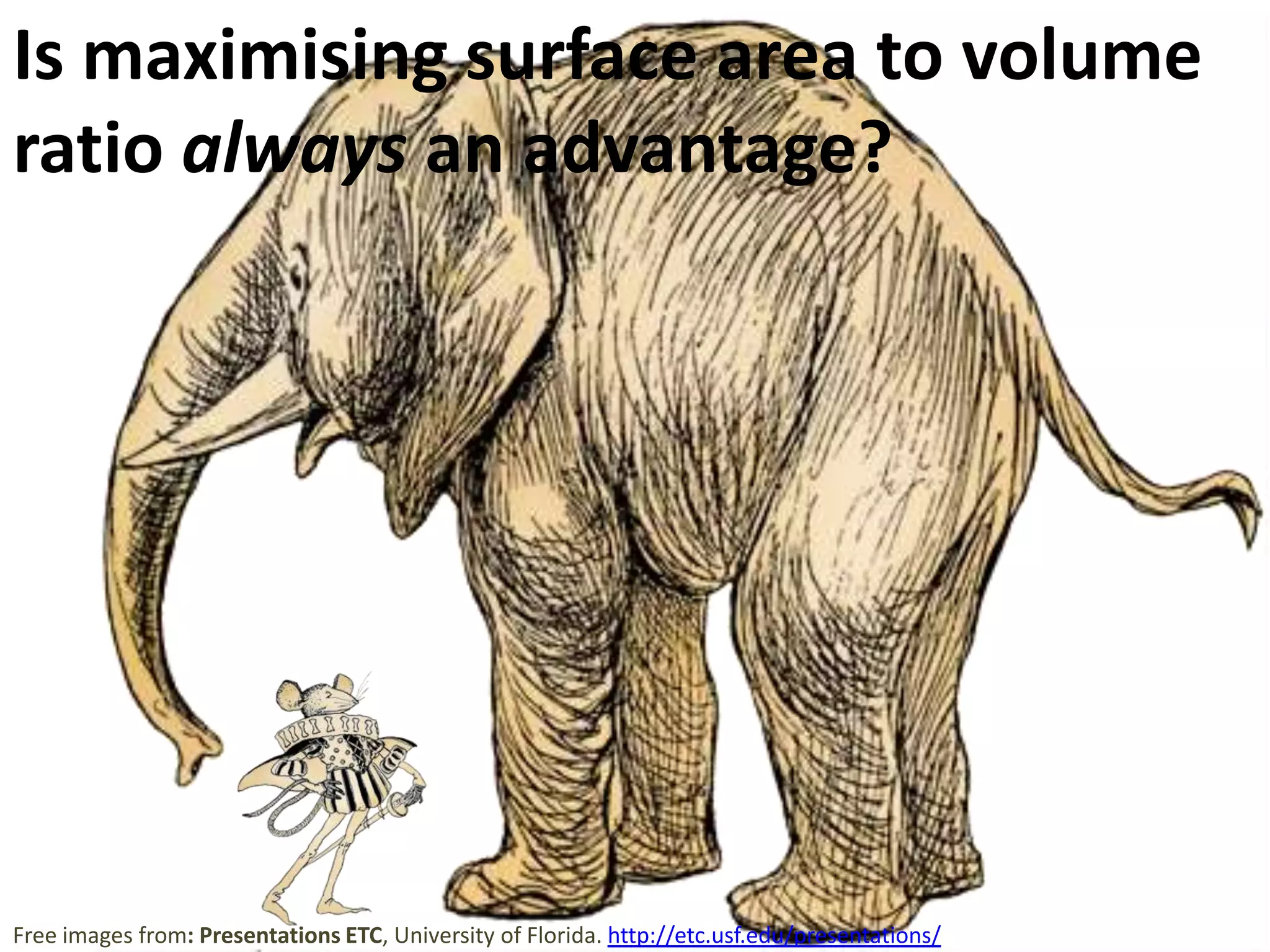 Structure/Function

Natural selection favours adaptations that give an advantage.
Folded structures are everywhere in nature, maximising the surface
area to volume ratio for exchange of materials.

Mammalian liver mitochondria: http://commons.wikimedia.org/wiki/File:Mitochondria,_mammalian_lung_-_TEM_(2).jpg

 