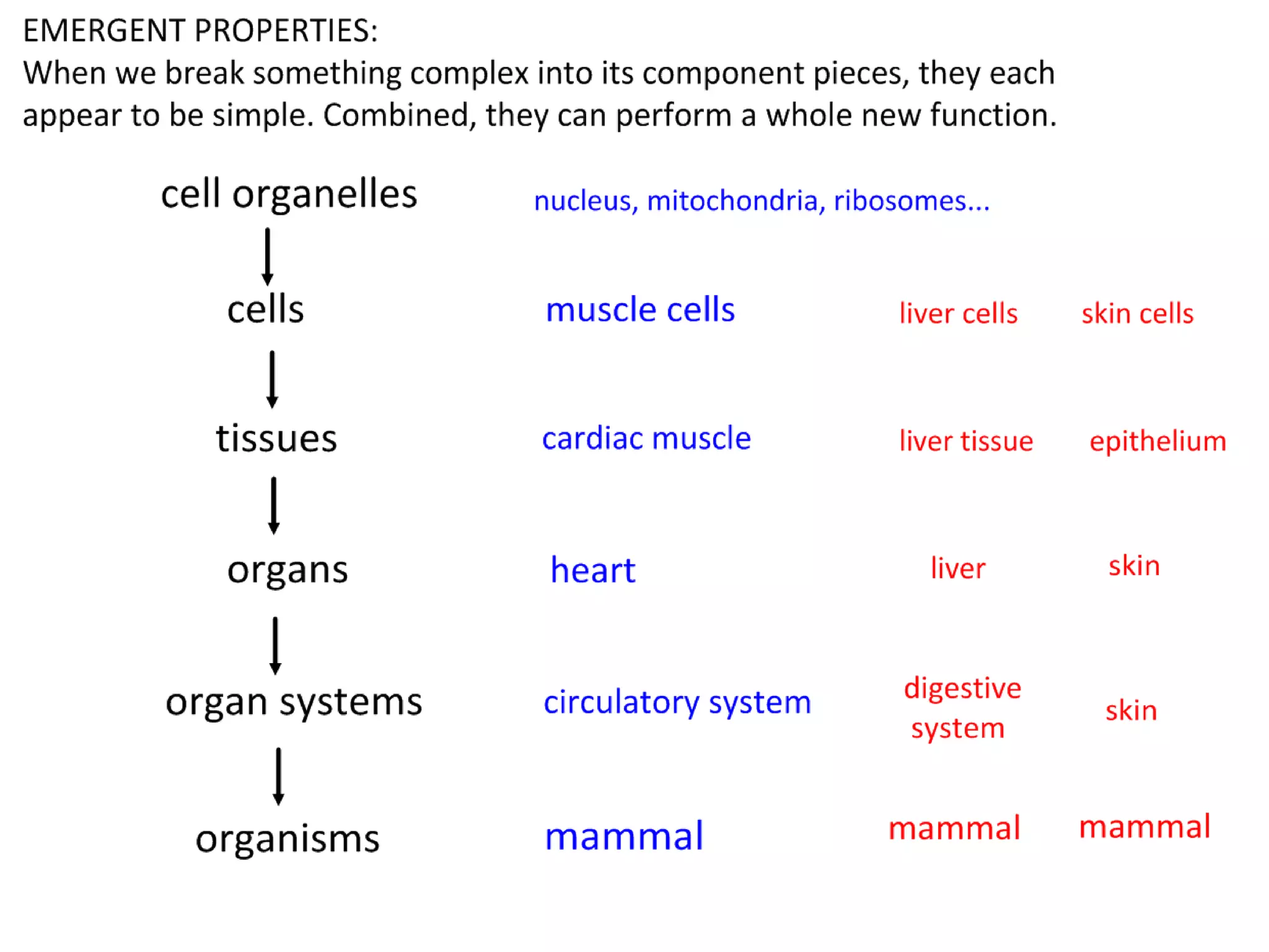 Is maximising surface area to volume
ratio always an advantage?

Free images from: Presentations ETC, University of Florida. http://etc.usf.edu/presentations/

 