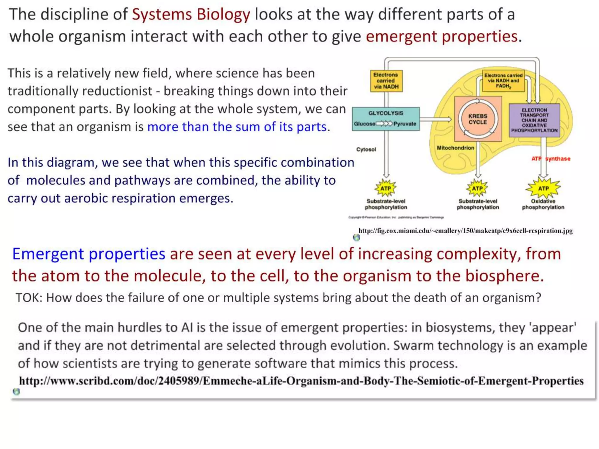 Two Minute Essay
Explain the importance of surface area to
volume ratio as a factor limiting cell size.

Free images from: Presentations ETC, University of Florida. http://etc.usf.edu/presentations/

 