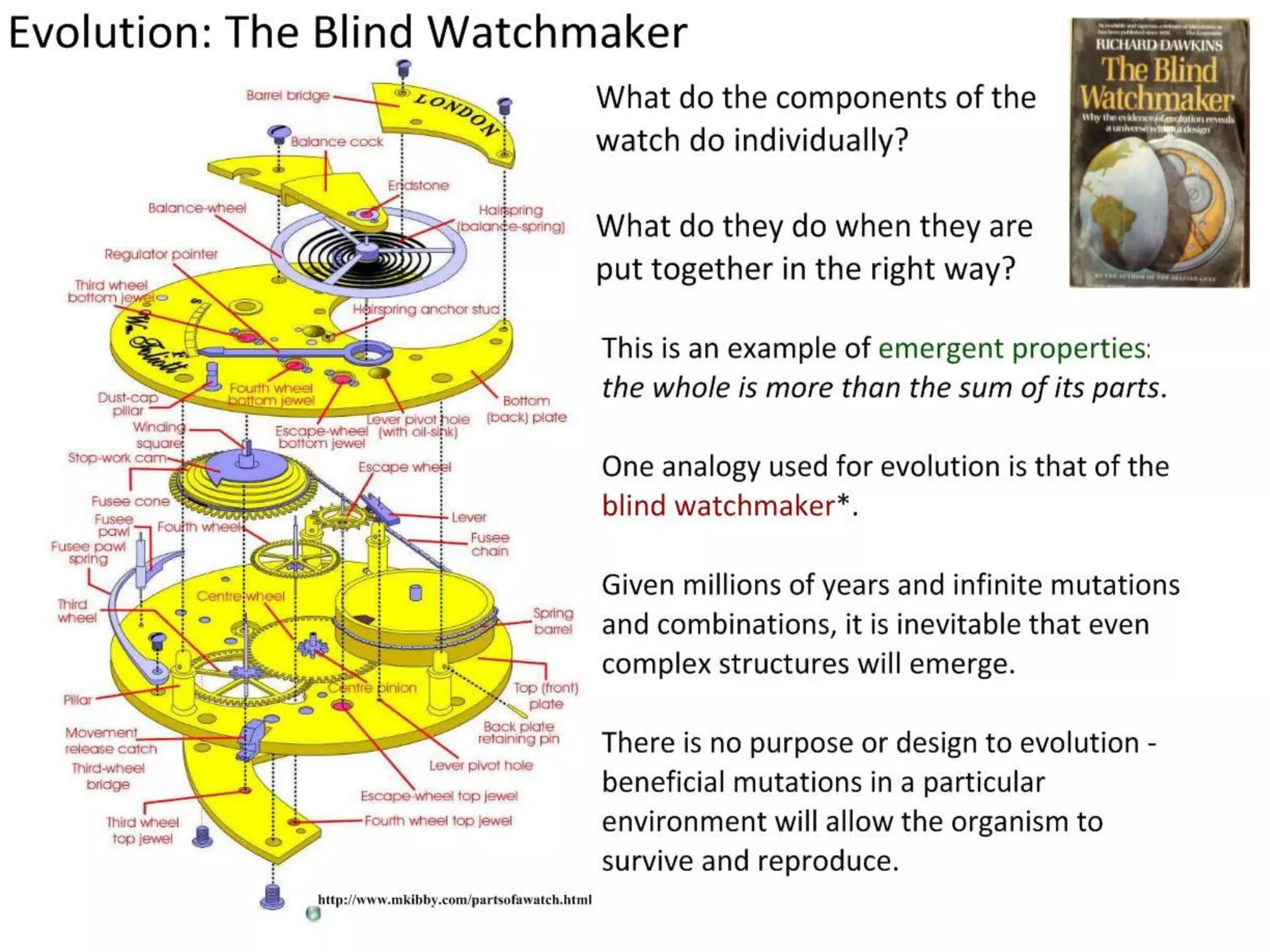 Exploration: which cools faster?
Add 30ml hot water to a small cup and to a petri dish.
Predict: Will one cool faster? Why?
Record: Take the temperature of each one every minute.
Describe or plot the results.

30ml

30ml

 