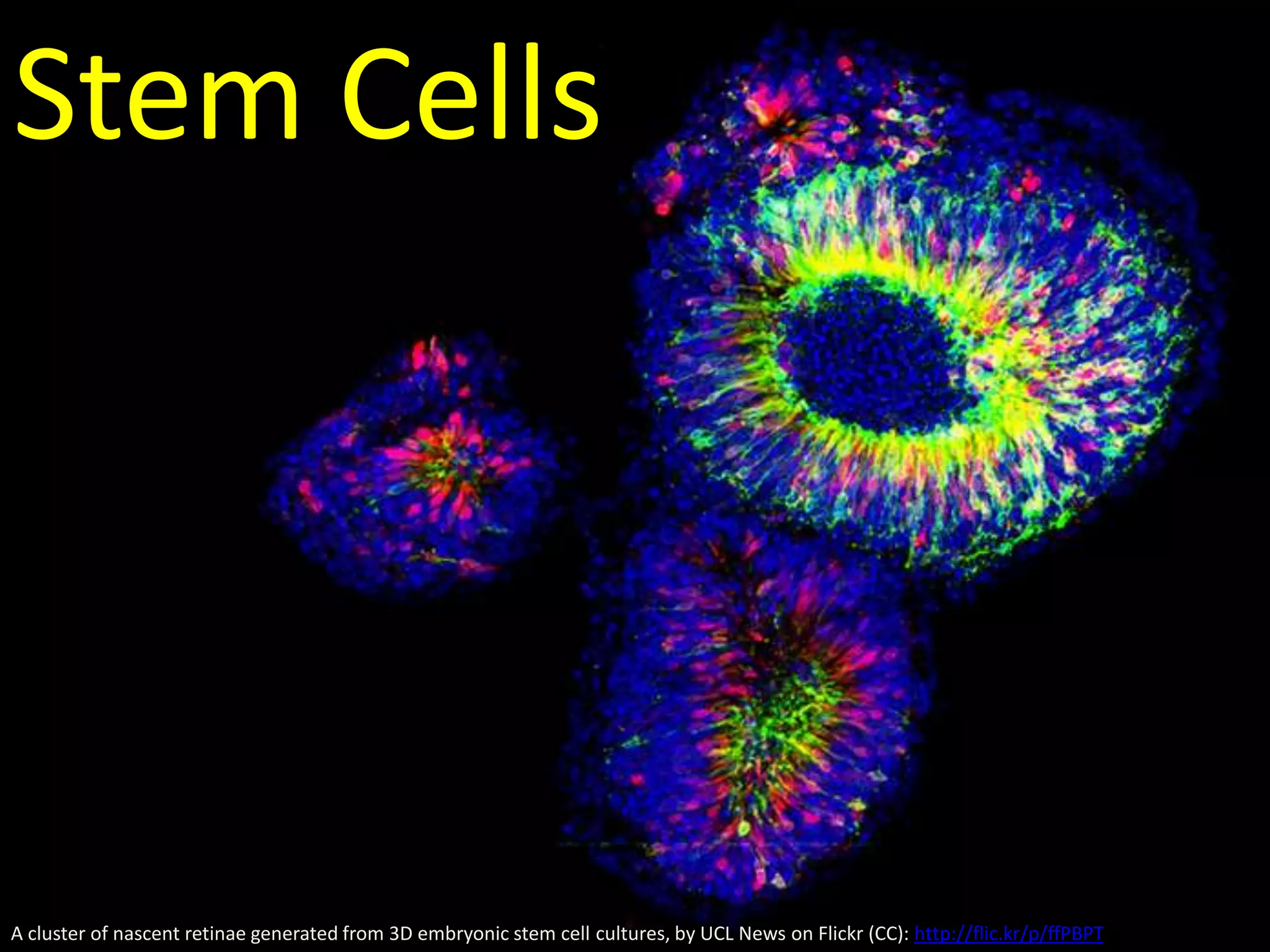 Design an investigation into the effect of SA:Vol ratio on exchange of…

 