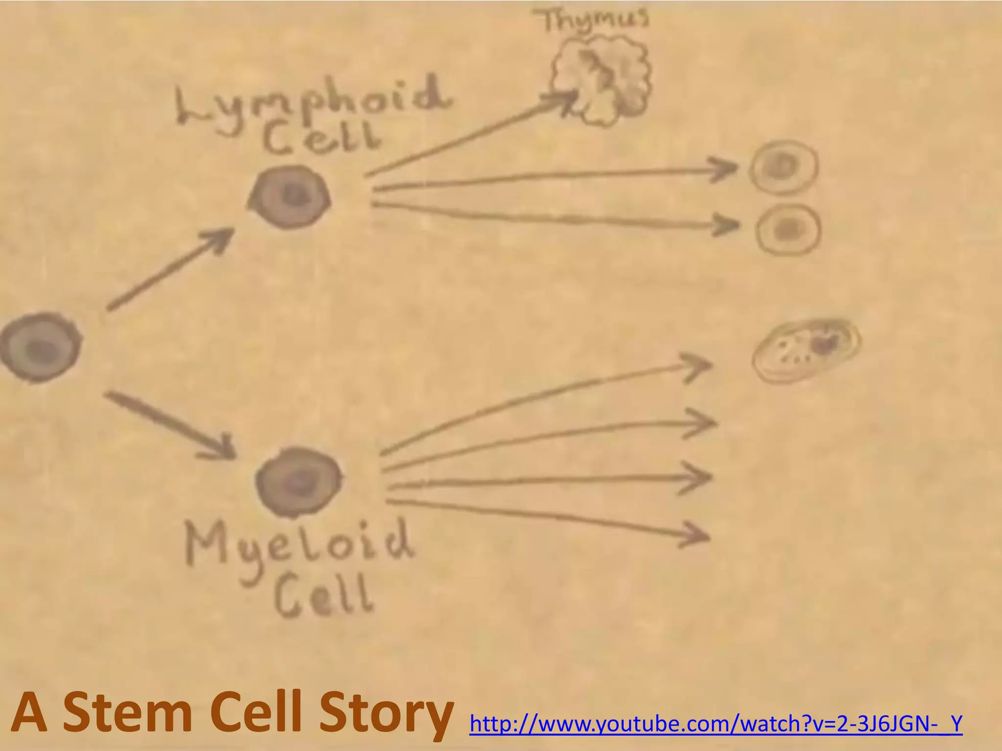 Emergent Properties
the whole is

more than the sum
of its parts

Photo by Stephen Taylor: http://www.flickr.com/photos/gurustip/9668701965/in/photostream

 