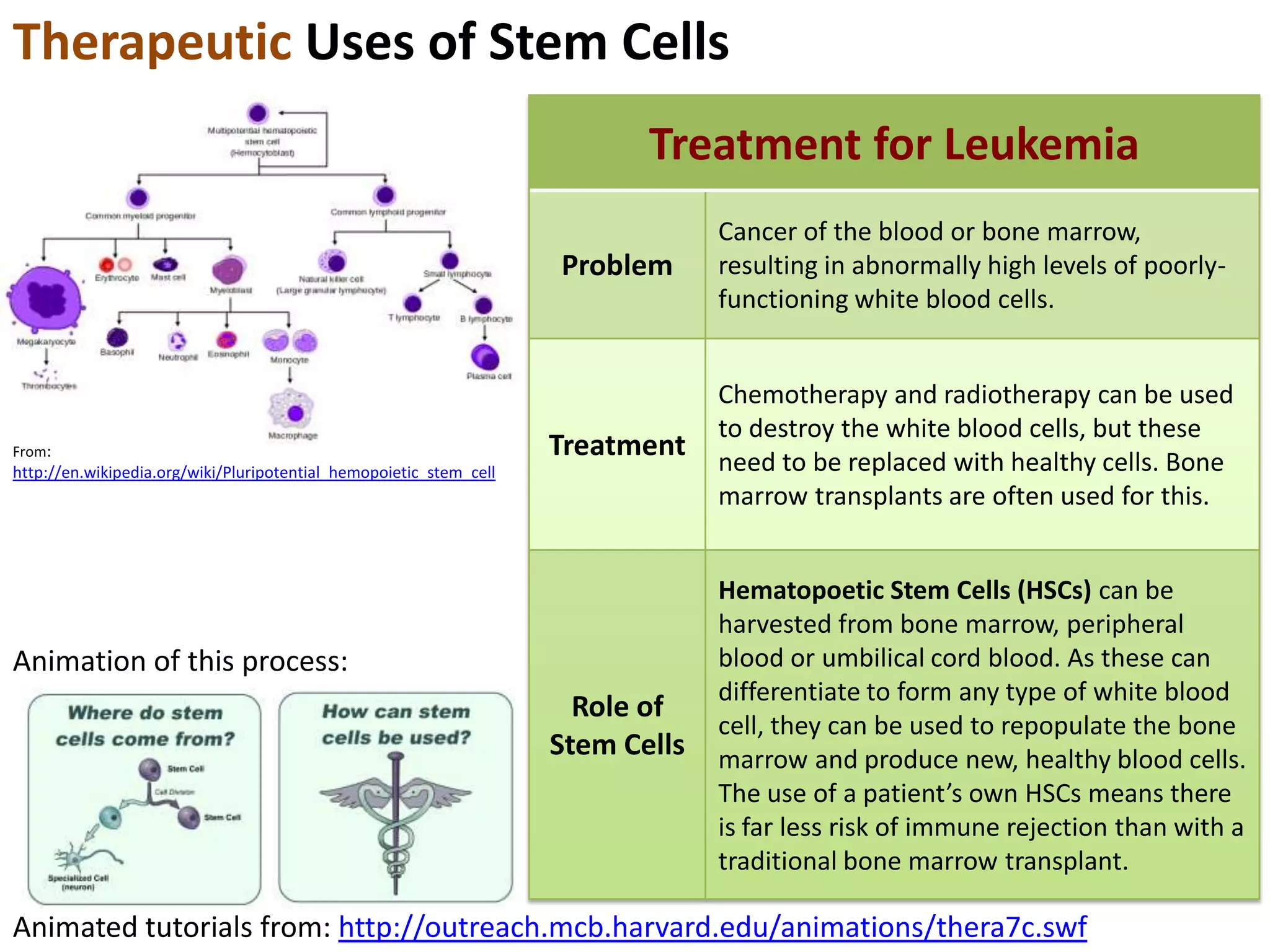 A Stem Cell Story

http://www.youtube.com/watch?v=2-3J6JGN-_Y

 