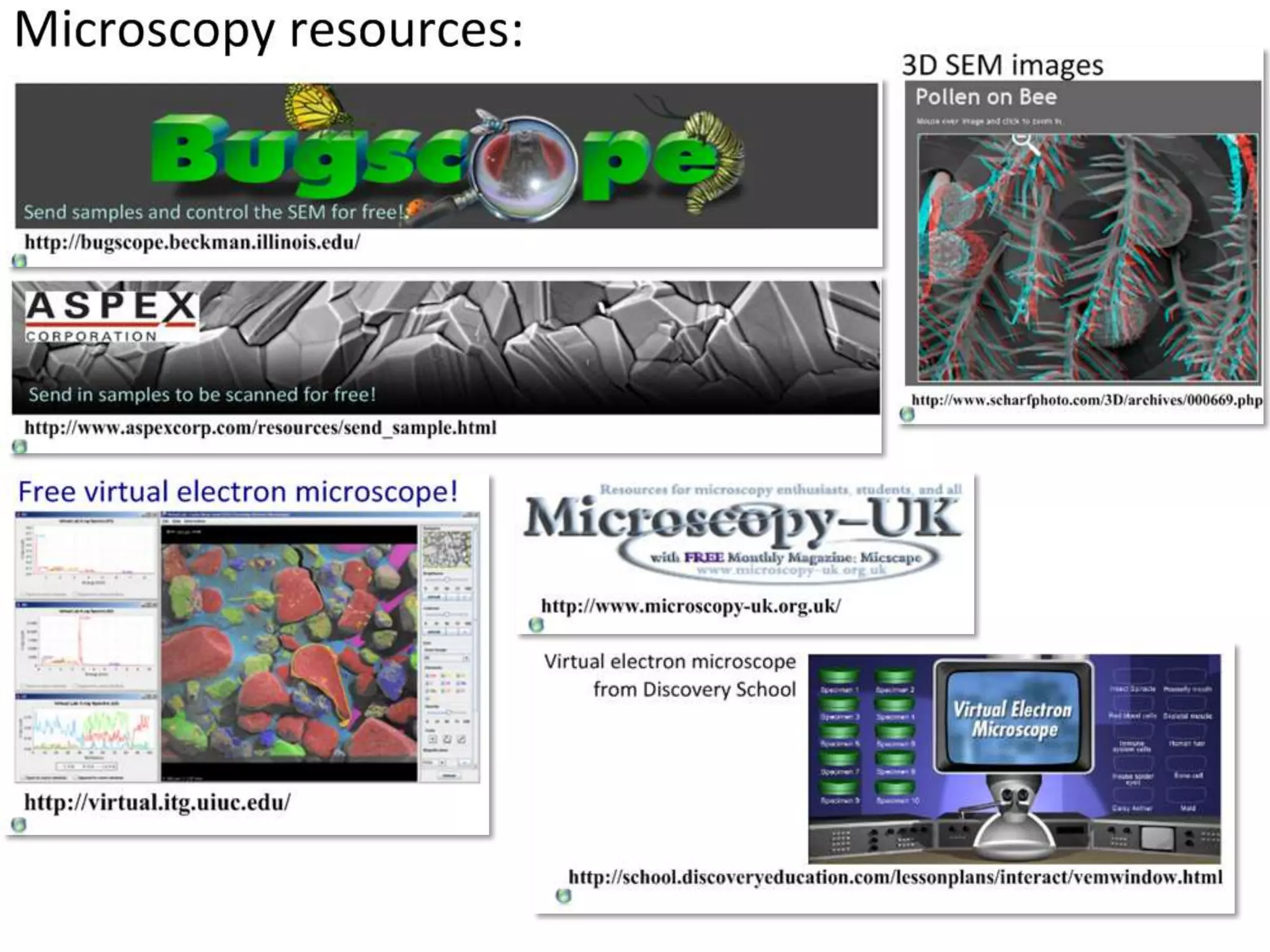 Stem Cells retain the capacity to divide and can
differentiate along divergent pathways.

Screenshot from this excellent tutorial: http://www.ns.umich.edu/stemcells/022706_Intro.html

 