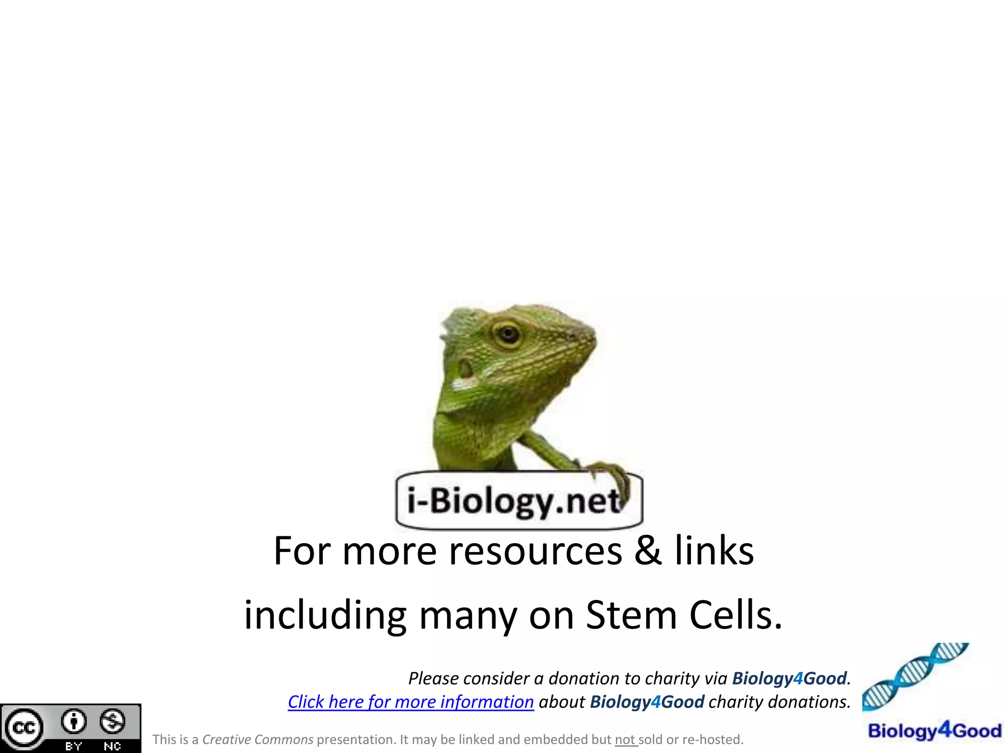 Differentiation (specialization) of cells:
All diploid (body) cells have the same chromosomes.
So they carry all the same genes and alleles.
BUT
Not all genes are expressed (activated) in all cells.
The cell receives a signal.
This signal activates or deactivates genes.
Genes are expressed accordingly and the cell is committed.
Eventually the cell has become specialized to a function.

Key Concept: Structure vs Function
How do the structures of specialized cells reflect their
functions? How does differentiation lead to this?
Screenshot from this excellent tutorial: http://www.ns.umich.edu/stemcells/022706_Intro.html

 