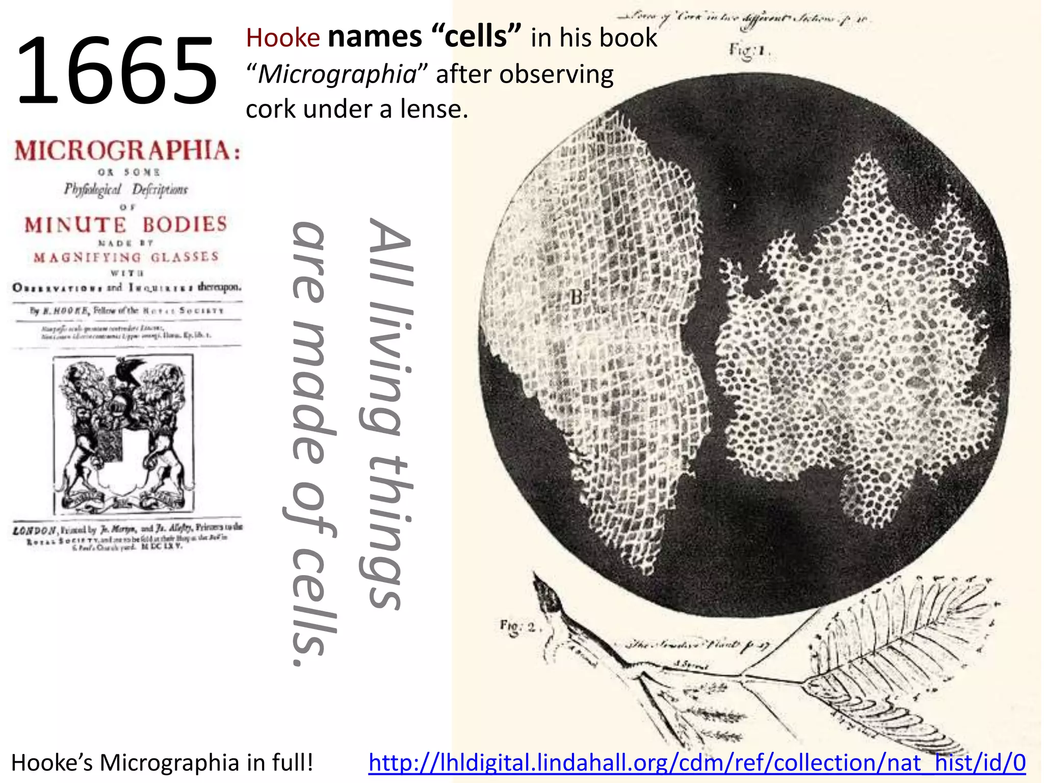 1665

Hooke names “cells” in his book
“Micrographia” after observing
cork under a lense.

All living things
are made of cells.
Hooke’s Micrographia in full!

http://lhldigital.lindahall.org/cdm/ref/collection/nat_hist/id/0

 