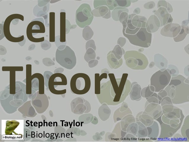 ib biology cell theory Cell theory understanding: cell theory explains that living organisms are composed of cells the cell theory states that: cells are the fundamental building. ib biology cell theory Cell theory understanding: cell theory explains that living organisms are composed of cells the cell theory states that: cells are the fundamental building.