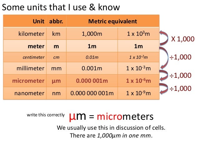 How Many Nanometers Are In A Millimeter Cell Theory