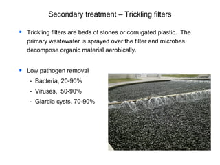 • Trickling filters are beds of stones or corrugated plastic. The
primary wastewater is sprayed over the filter and microbes
decompose organic material aerobically.
• Low pathogen removal
- Bacteria, 20-90%
- Viruses, 50-90%
- Giardia cysts, 70-90%
Secondary treatment – Trickling filters
 