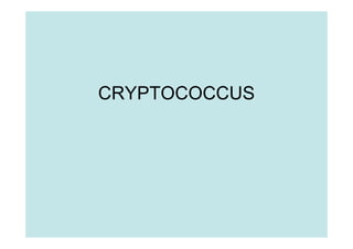 CRYPTOCOCCUS
 