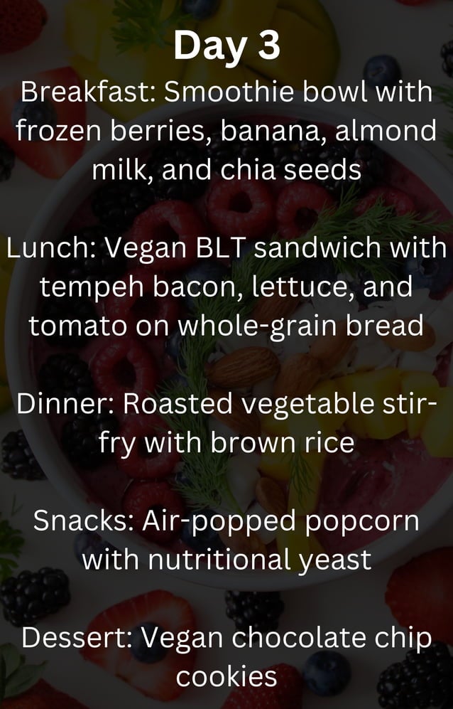 21 Day Vegan Meal Plan pdf 21-day-vegan-meal-plan-pdf