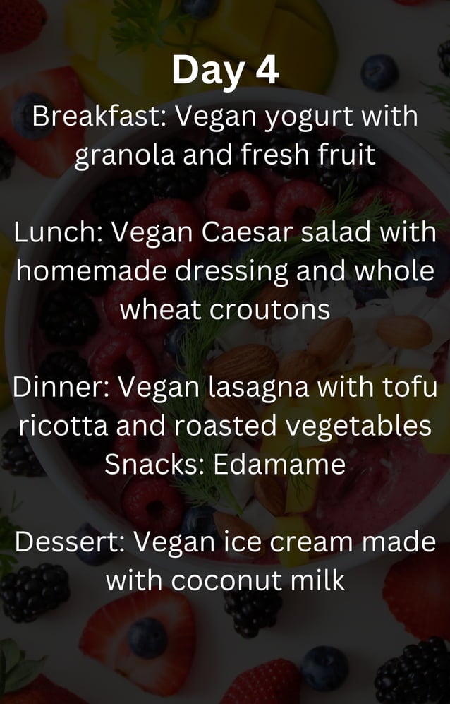 21 Day Vegan Meal Plan pdf 21-day-vegan-meal-plan-pdf