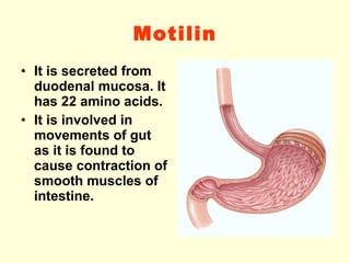 Motilin It is secreted from duodenal mucosa. It has 22 amino acids. It is involved in movements of gut as it is found to cause contraction of smooth muscles of intestine. 