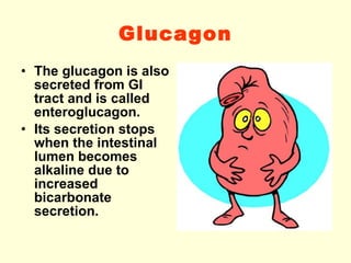 Glucagon The glucagon is also secreted from GI tract and is called enteroglucagon. Its secretion stops when the intestinal lumen becomes alkaline due to increased bicarbonate secretion. 