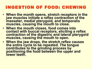 INGESTION OF FOOD :  CHEWING When the month opens, stretch receptors in the jaw muscles initiate a reflex contraction of the masseter, medial pterygoid, and temporalis muscles, causing the mouth to close. When the mouth closes, food comes into contact with buccal receptors, eliciting a reflex contraction of the digastric and lateral pterygoid muscles, causing the mouth to open. When the jaw drops, the stretch reflex causes the entire cycle to be repeated. The tongue contributes to the grinding process by positioning the food between the upper and lower teeth. 