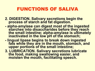 FUNCTIONS OF SALIVA 2. DIGESTION. Salivary secretions begin the process of starch and fat digestion. - alpha-amylase can digest most of the ingested starches into disaccharides before they reach the small intestine; alpha- amylase  is ultimately inactivated in the low pH of the stomach; - lingual lipase begins to break down ingested fats while they are in the mouth, stomach, and upper portions of the small intestine; 3. LUBRICATION. Salivary secretions lubricate the food, making swallowing easier, and moisten the mouth, facilitating speech. 