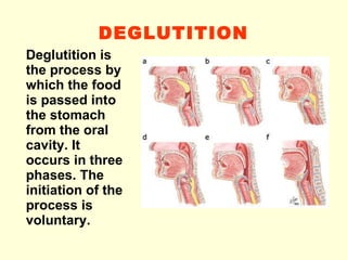 DEGLUTITION Deglutition is the process by which the food is passed into the stomach from the oral cavity. It occurs in three phases. The initiation of the process is voluntary. 