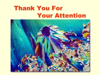 Thank You For Your Attention 