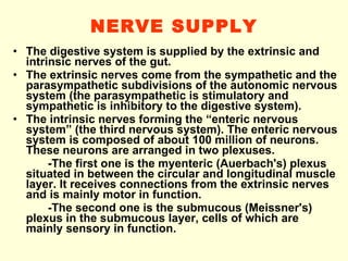 NERVE SUPPLY The digestive system is supplied by the extrinsic and intrinsic nerves of the gut.  The extrinsic nerves come from the sympathetic and the parasympathetic subdivisions of the autonomic nervous system (the parasympathetic is stimulatory and sympathetic is inhibitory to the digestive system). The intrinsic nerves forming the “enteric nervous system” (the third nervous system). The enteric nervous system is composed of about 100 million of neurons. These neurons are arranged in two plexuses. -The first one is the myenteric (Auerbach's) plexus situated in between the circular and longitudinal muscle layer. It receives connections from the extrinsic nerves and is mainly motor in function. -The second one is the submucous (Meissner's) plexus in the submucous layer, cells of which are mainly sensory in function. 