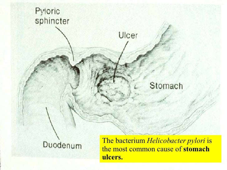 21 Digestive System #1