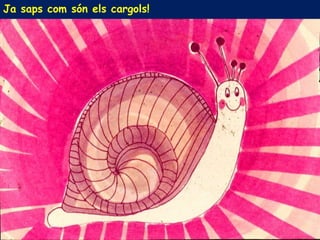 Ja saps com són els cargols!
 