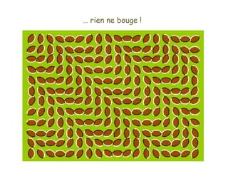 …  rien ne bouge !   