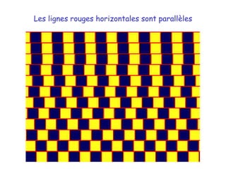 Les lignes rouges horizontales sont parallèles 