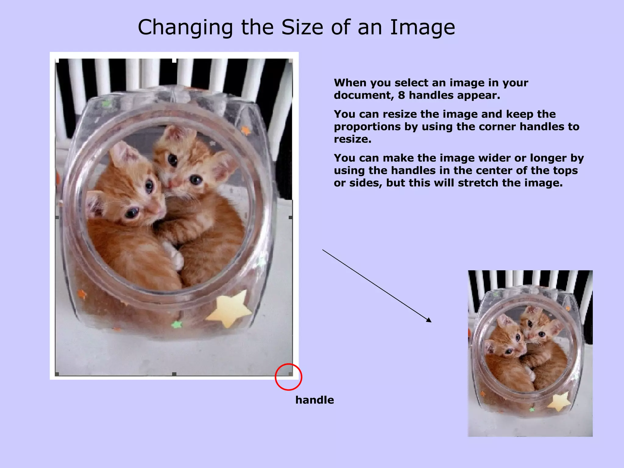 Changing the Size of an Image When you select an image in your document, 8 handles appear. You can resize the image and keep the proportions by using the corner handles to resize. You can make the image wider or longer by using the handles in the center of the tops or sides, but this will stretch the image. handle 
