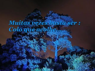 Muitas vezes basta ser : Colo que acolhe... 