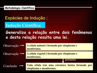 Indução Científica: Espécies de Indução :  Metodologia Científica Generaliza a relação entre dois fenômenos e desta relação resulta uma lei. A célula animal é formada por citoplasma e membranas. Toda célula tem uma estrutura básica formada por citoplasma e membranas. portanto Observação Observação  A célula vegetal é formada por citoplasma e membranas. Conclusão 