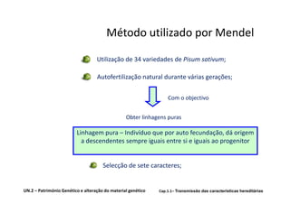 Método utilizado por Mendel

                                   Utilização de 34 variedades de Pisum sativum;

                                   Autofertilização natural durante várias gerações;


                                                                  Com o objectivo


                                                 Obter linhagens puras

                         Linhagem pura – Indivíduo que por auto fecundação, dá origem
                           a descendentes sempre iguais entre si e iguais ao progenitor


                                      Selecção de sete caracteres;


UN.2 – Património Genético e alteração do material genético   Cap.1.1– Transmissão das características hereditárias
 