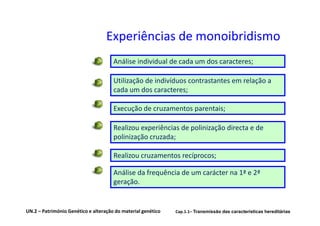 Experiências de monoibridismo
                                      Análise individual de cada um dos caracteres;

                                      Utilização de indivíduos contrastantes em relação a
                                      cada um dos caracteres;

                                      Execução de cruzamentos parentais;

                                      Realizou experiências de polinização directa e de
                                      polinização cruzada;

                                      Realizou cruzamentos recíprocos;

                                      Análise da frequência de um carácter na 1ª e 2ª
                                      geração.


UN.2 – Património Genético e alteração do material genético   Cap.1.1– Transmissão das características hereditárias
 