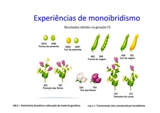 Experiências de monoibridismo
                                               Resultados obtidos na geração F2



                        5474    1850
                      Forma da semente          6022    2001
                                               Cor da semente


                                                                    882    299                  428     152
                                                                  Forma da vagem               Cor da vagem




                           651          207
                          Posição das flores               224          705
                                                            Cor das flores
                                                                                         787         271
                                                                                         Tamanho do caule


UN.2 – Património Genético e alteração do material genético       Cap.1.1– Transmissão das características hereditárias
 