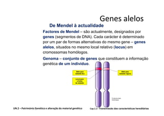 Genes alelos
                              De Mendel à actualidade
                         Factores de Mendel – são actualmente, designados por
                         genes (segmentos de DNA). Cada carácter é determinado
                         por um par de formas alternativas do mesmo gene – genes
                         alelos, situados no mesmo local relativo (locus) em
                         cromossomas homólogos.
                         Genoma – conjunto de genes que constituem a informação
                         genética de um indivíduo.




UN.2 – Património Genético e alteração do material genético   Cap.1.1– Transmissão das características hereditárias
 