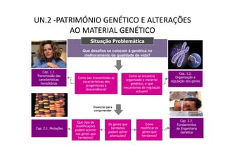 UN.2 -PATRIMÓNIO GENÉTICO E ALTERAÇÕES
         AO MATERIAL GENÉTICO
                              Situação Problemática
                         Que desafios se colocam à genética no
                          melhoramento da qualidade de vida?



    Cap. 1.1.                                                                       Cap. 1.2.
Transmissão das                                        Como se encontra          Organização e
                      Como são transmitidas as
 características                                     organizado o material    regulação dos genes
                        características dos
  hereditárias                                          genético, e que
                          progenitores à
                                                    mecanismos de regulação
                          descendência?
                                                            actuam?



                                Essencial para
                                compreender



                      Que tipo de                                                  Cap. 2.2.
                                           Os genes que          Como            Fundamentos
                      modificações
Cap. 2.1. Mutações                           herdamos         modificar os       de Engenharia
                     podem ocorrer
                                           podem sofrer        genes que            Genética
                     nos genes que
                                            alterações?       herdamos?
                       herdamos?
 